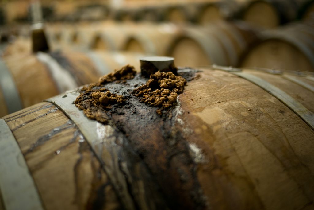 Van lambic tot geuze.